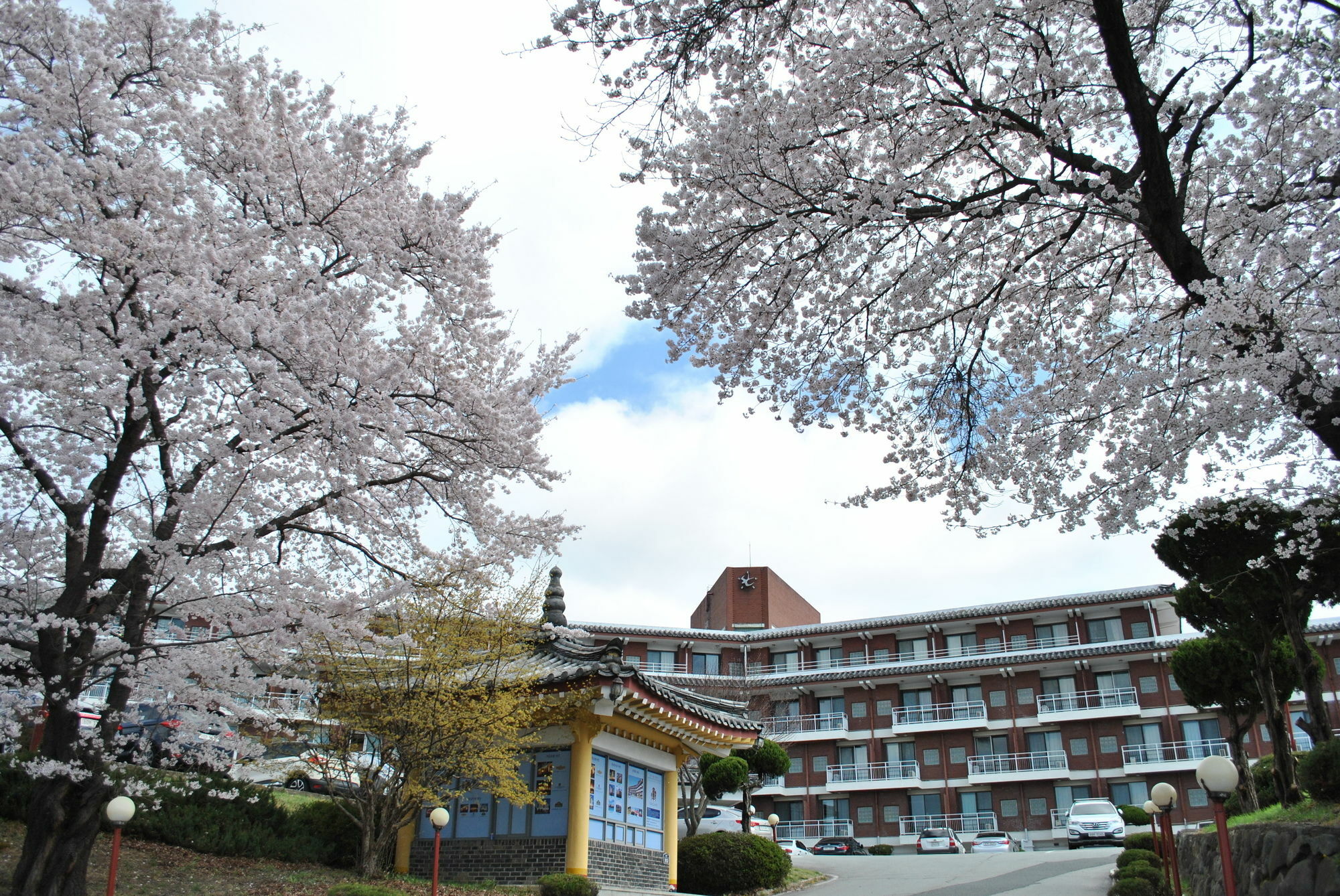 Corea Condo Кёнджу Экстерьер фото